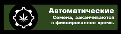 Автоматические семена конопли Автоцветущие сорта марихуаны Значок баннера Изображение вкладки